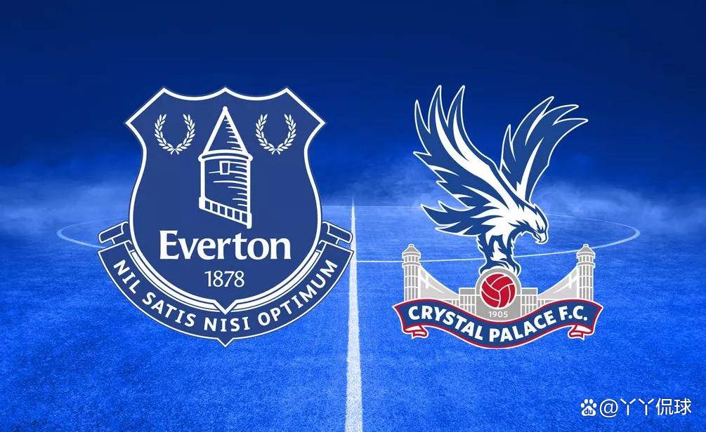 埃弗顿主场保持不败,排名继续上升的简单介绍 埃弗顿主场保持不败,排名继续上升的简单介绍