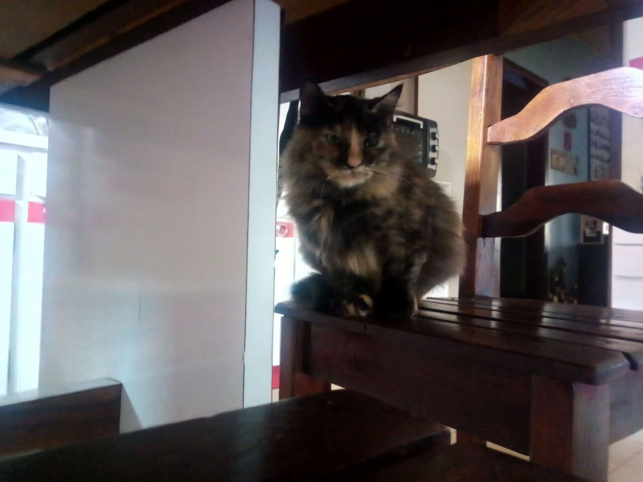 篮网战术压制火箭，切特关键节点连续得分改写比赛走向