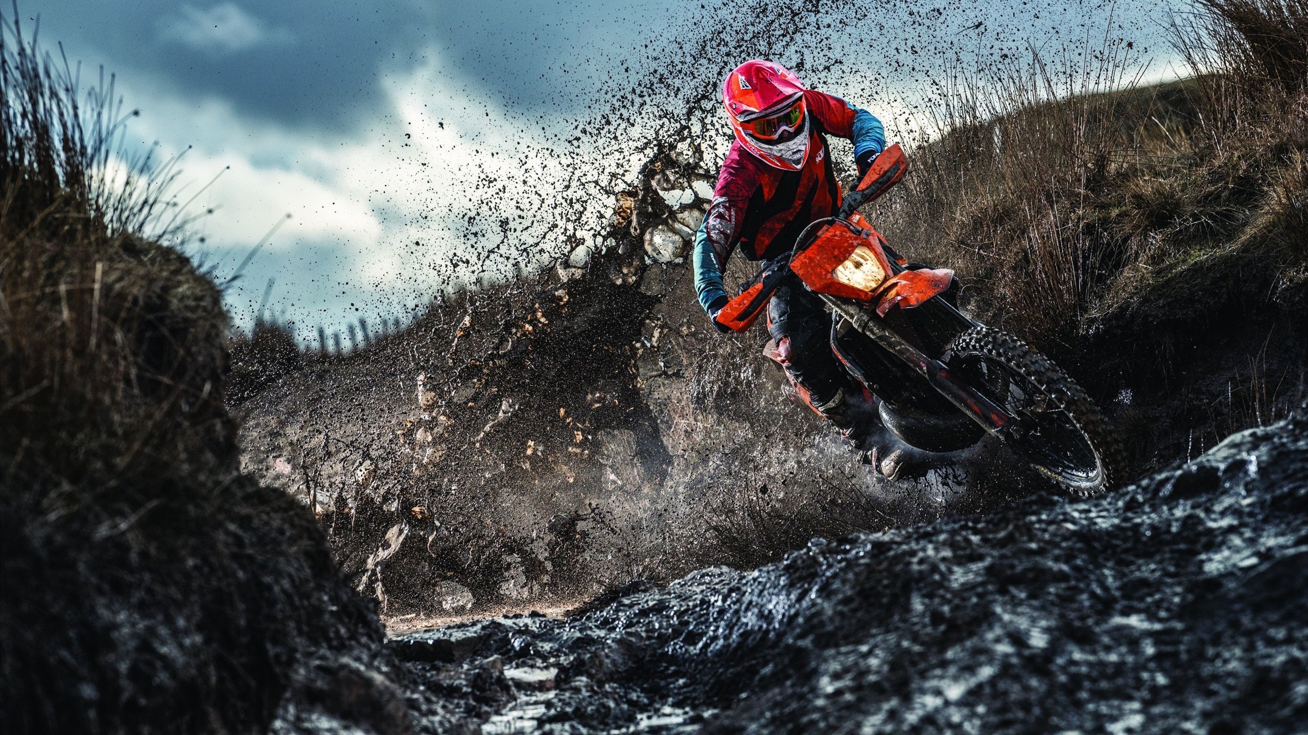 库尔图瓦神级扑救定乾坤，法国三球碾压塞内加尔展现卫冕冠军底蕴