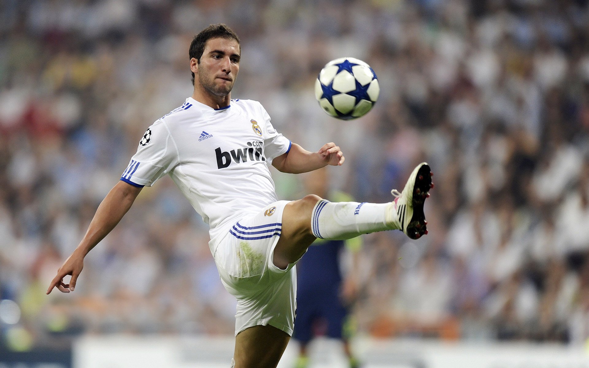 红魔梦碎安菲尔德，比利时旋风横扫利物浦，卡瓦哈尔一记惊世弧线惊艳四座